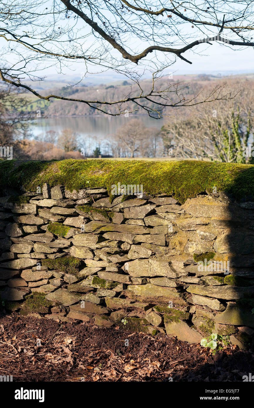 Dry stone wall capped with green moss,Agatha Christie,  Stone Wall, Stability, Stone, Backgrounds, Block, Rock, Built Structure Stock Photo