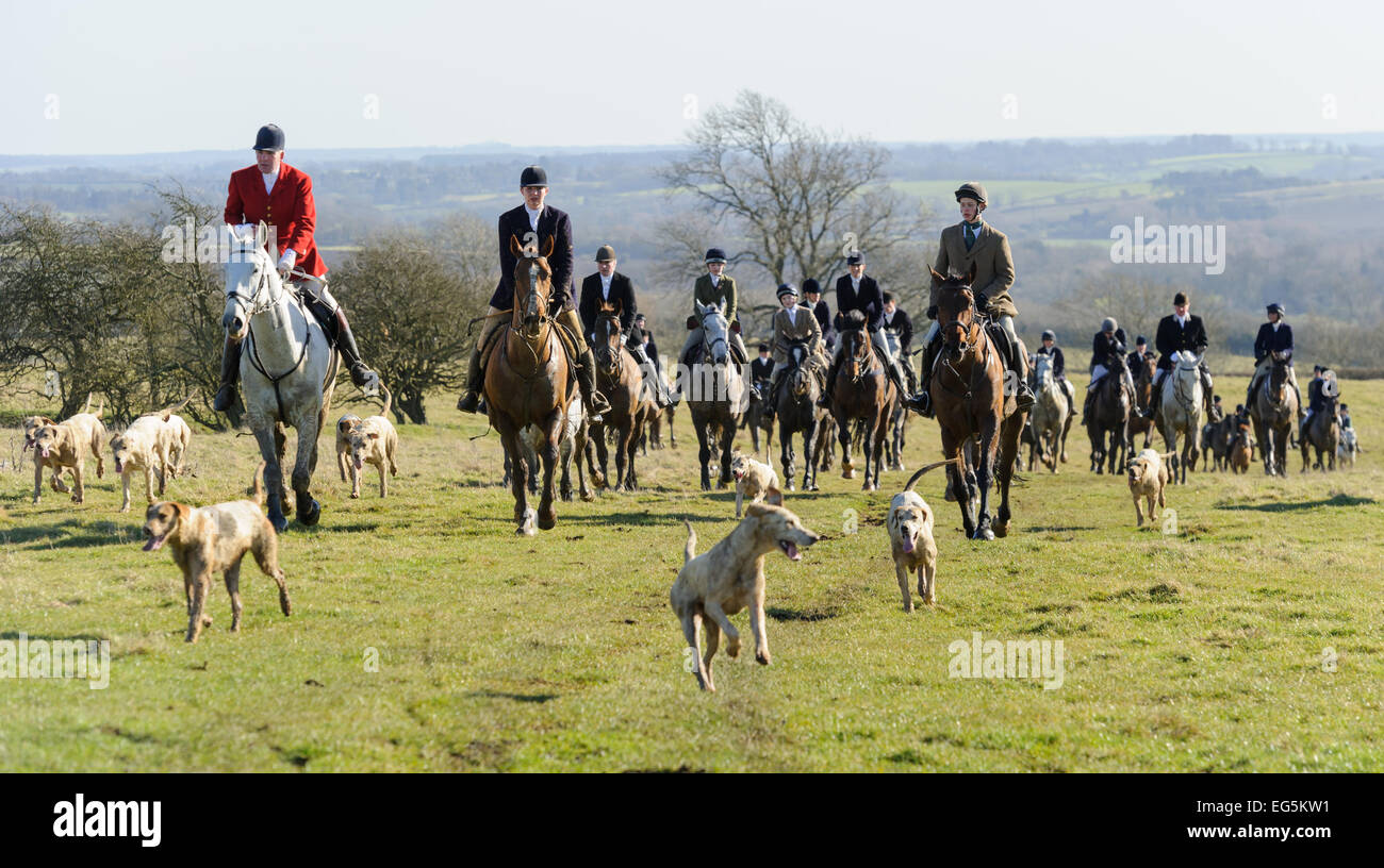 Oakham, UK. 17th February, 2015. Cottesmore Hunt meet. Huntsman Andrew Osborne leads the Cottesmore Hunt. Credit:  Nico Morgan/Alamy Live News Stock Photo