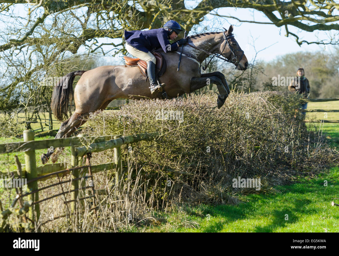 Oakham, UK. 17th February, 2015. Cottesmore Hunt meet. Hunts now follow trails which often involve crossing fences and hedges on land on which followers cannot normally ride. Credit:  Nico Morgan/Alamy Live News Stock Photo