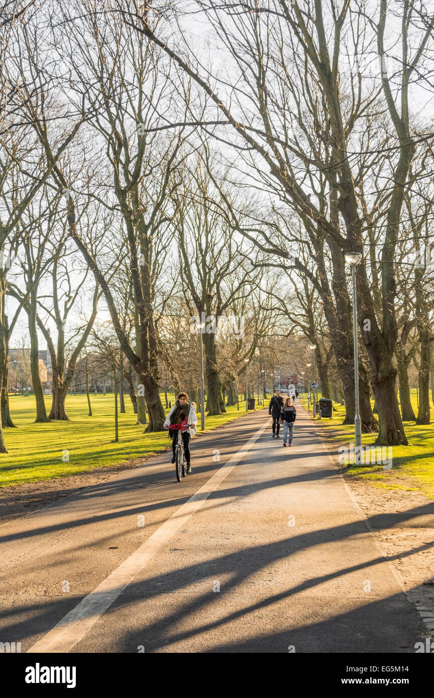 People using Middle Meadow Walk at the Meadows, Edinburgh, between Quartermile and Newington districts. Stock Photo
