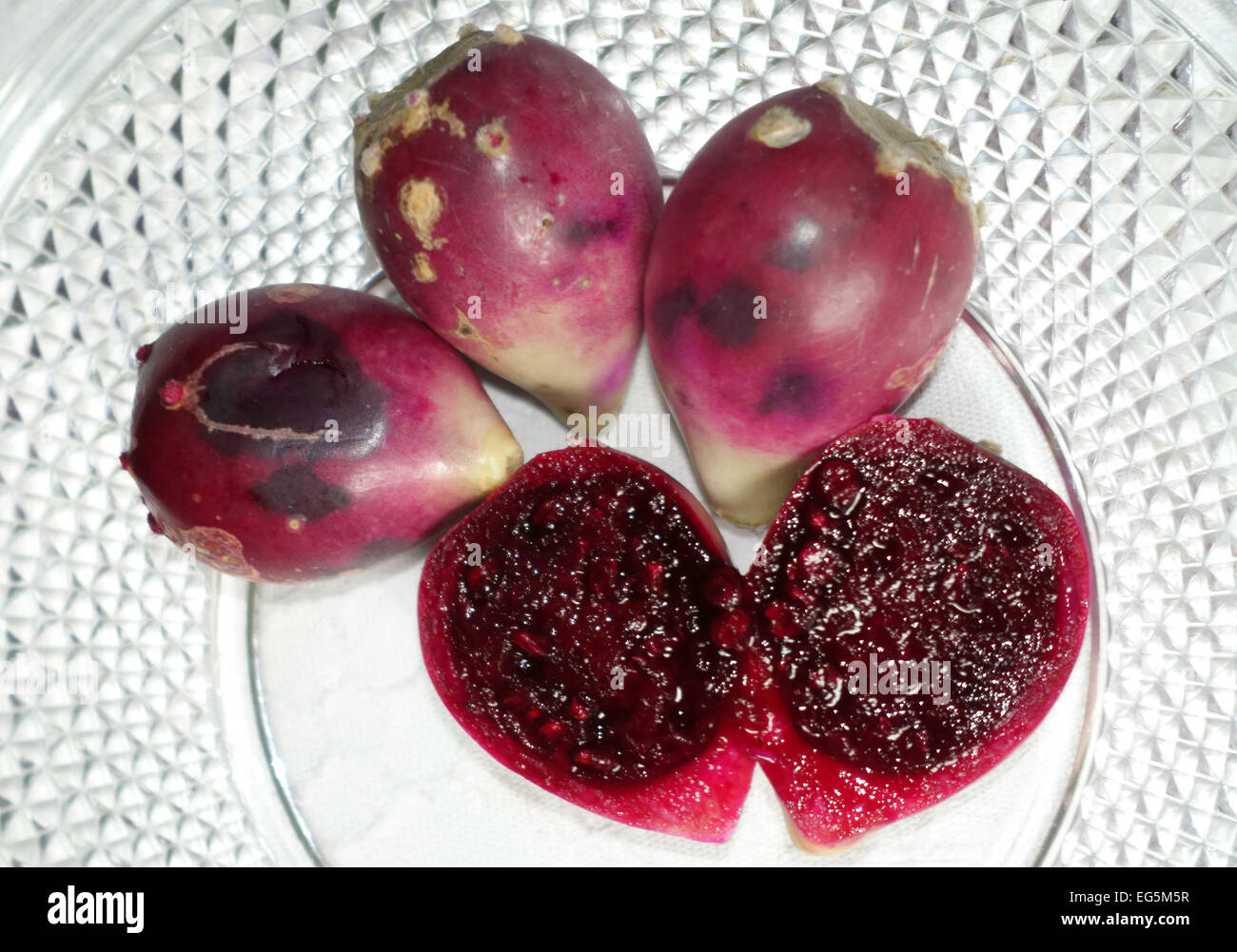 Tunos Indios or Opuntia Dillenii (local variety of prickly pear) from