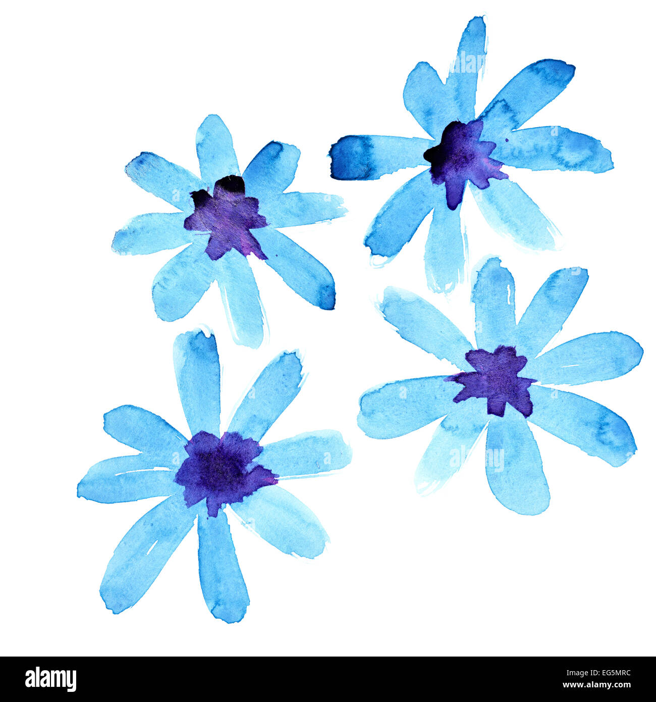 Blue watercolor flowers isolated over the white background Stock Photo ...