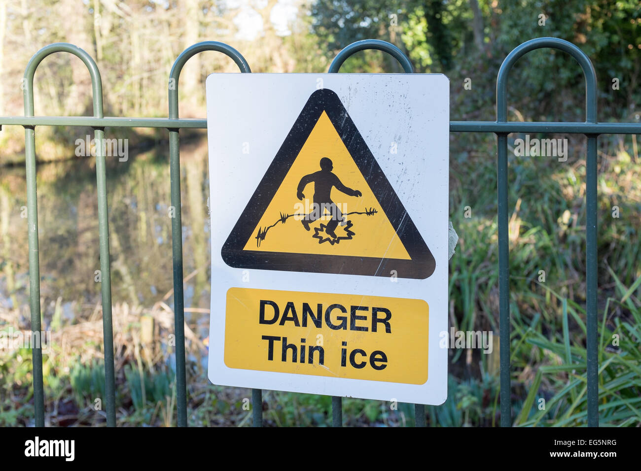 Danger Thin Ice warning sign on wrought iron fence around duck pond Stock Photo