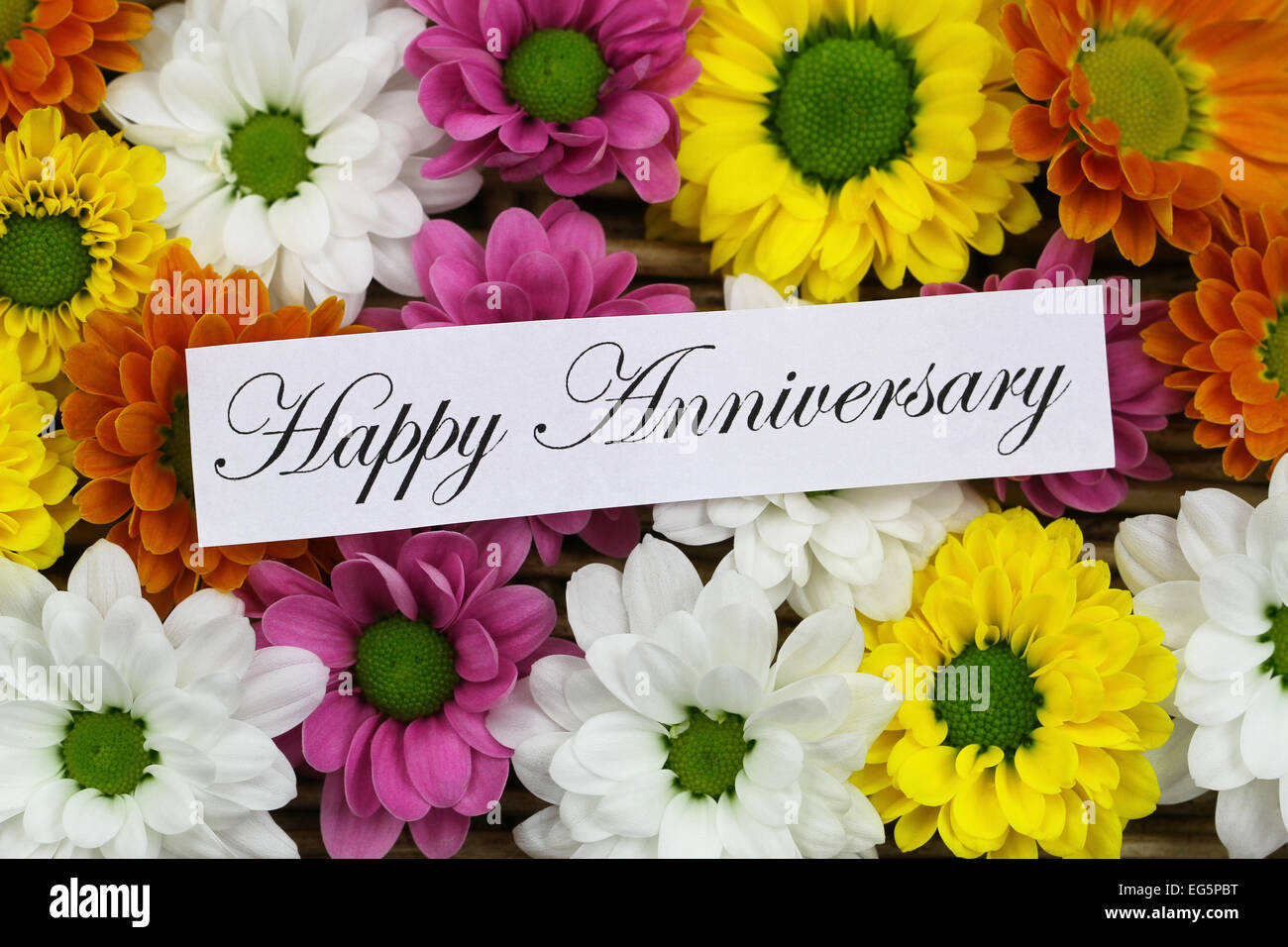 happy anniversary card with colorful santini flowers EG5PBT