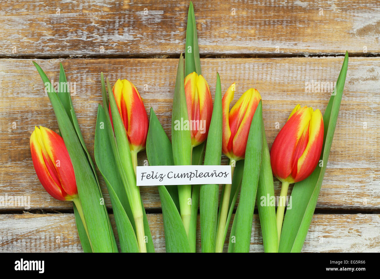 What Does Feliz Cumpleaos Mean In Spanish