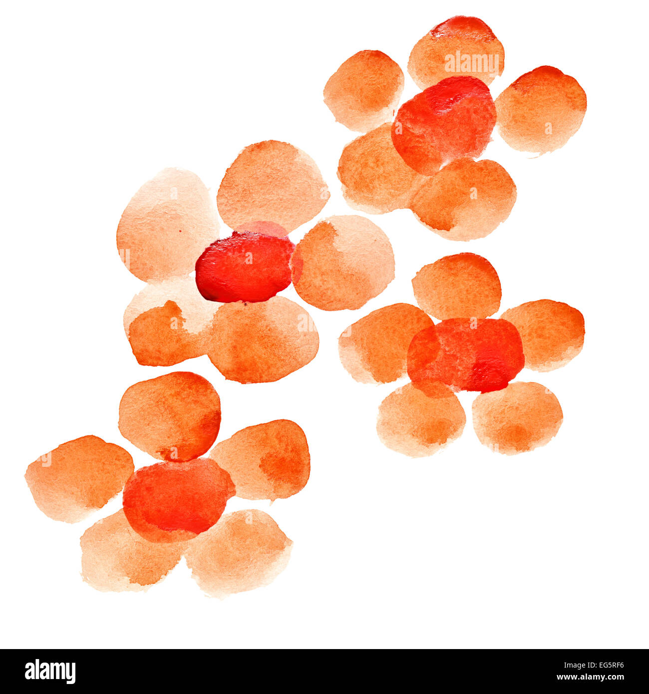 Watercolor Flowers Stock Photos & Watercolor Flowers Stock Images - Alamy