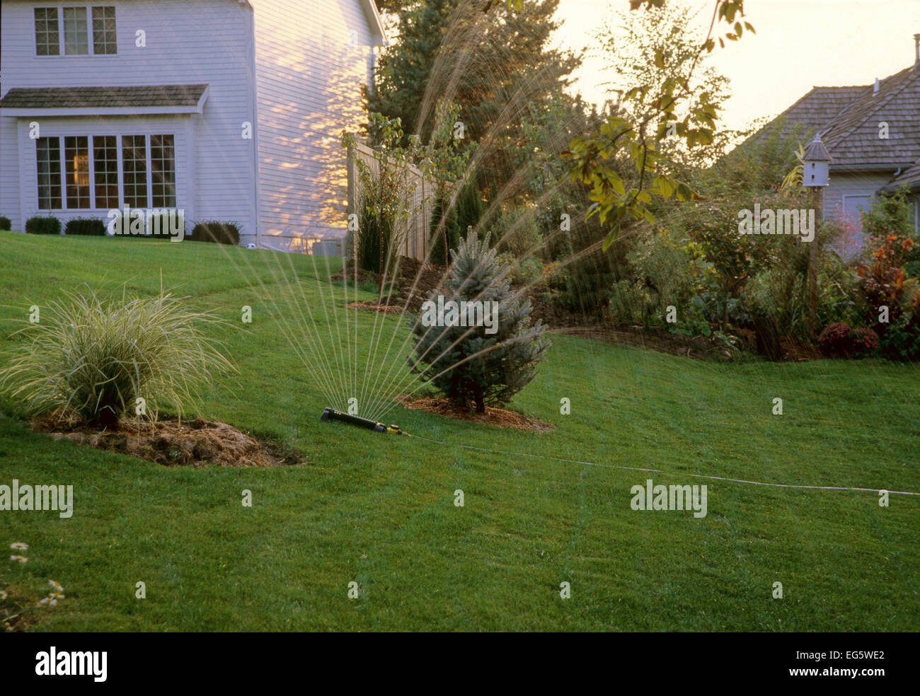 Watering lawn with sprinkler Stock Photo