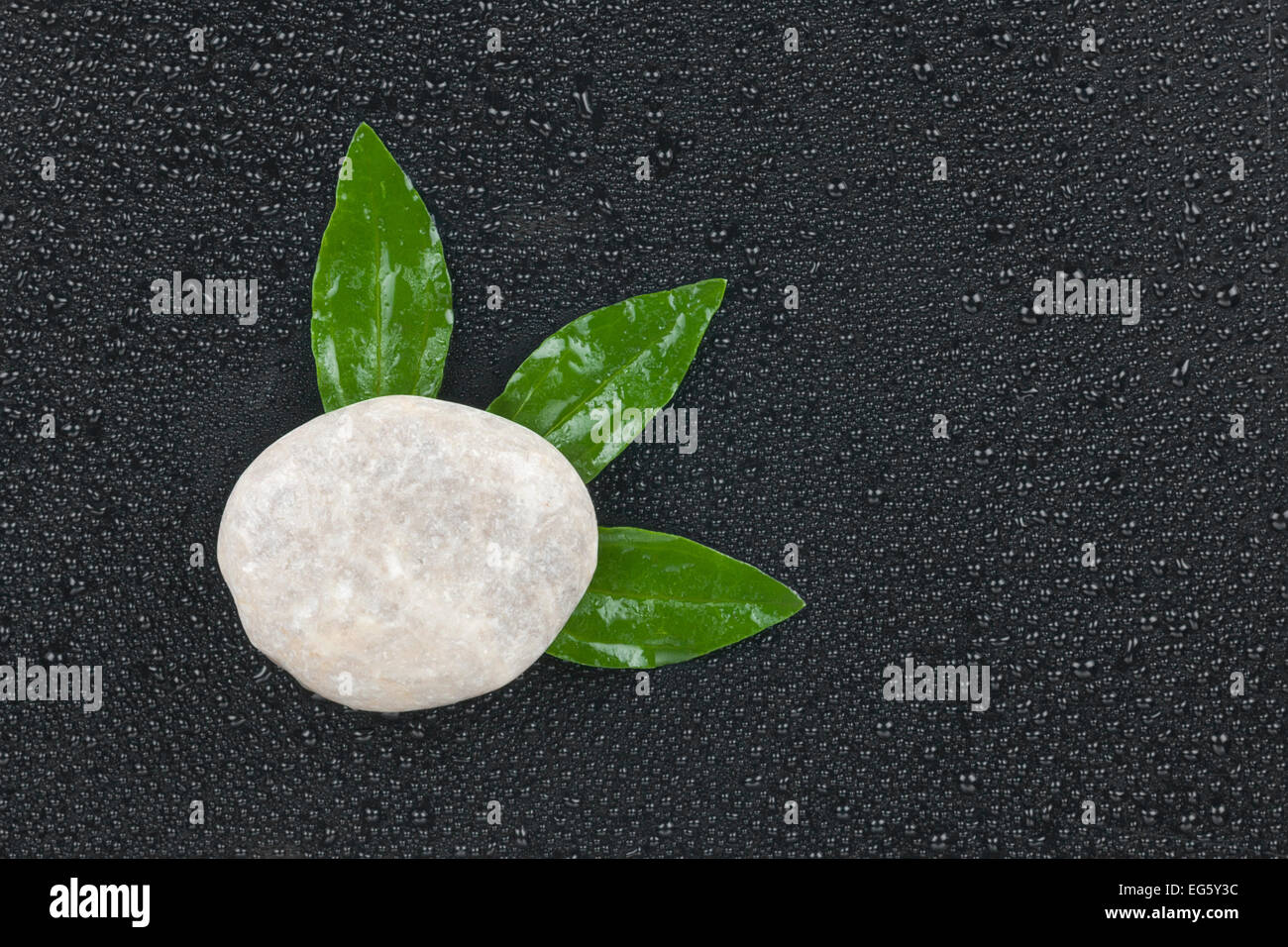 White stone with leaves lying on a black background Stock Photo - Alamy