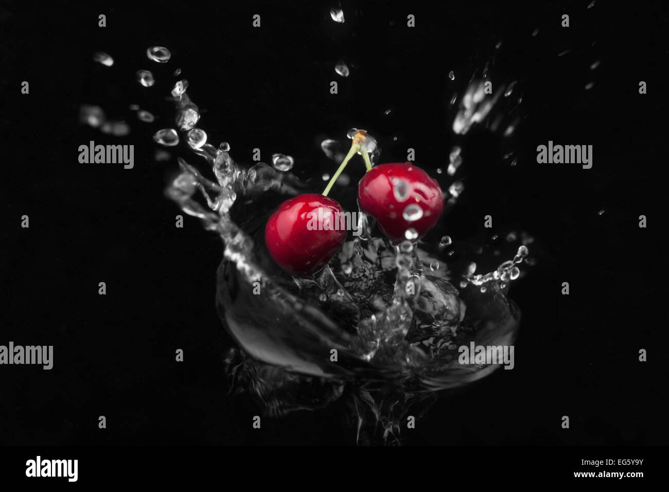 Cherry falling into the water on a black background Stock Photo