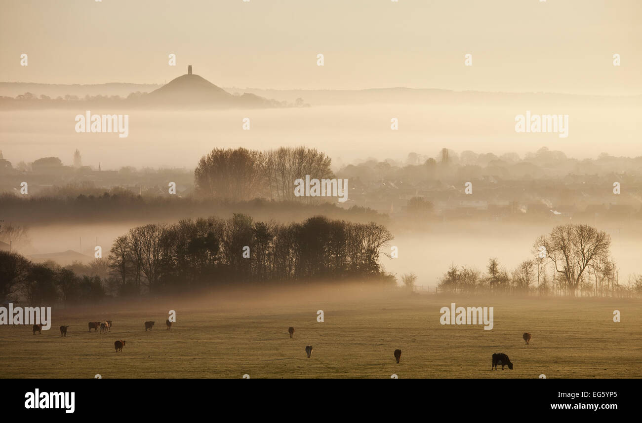 View towards Glastonbury tor from Walton Hill at dawn, Somerset Levels, Somerset, England, UK, April 2011 Stock Photo