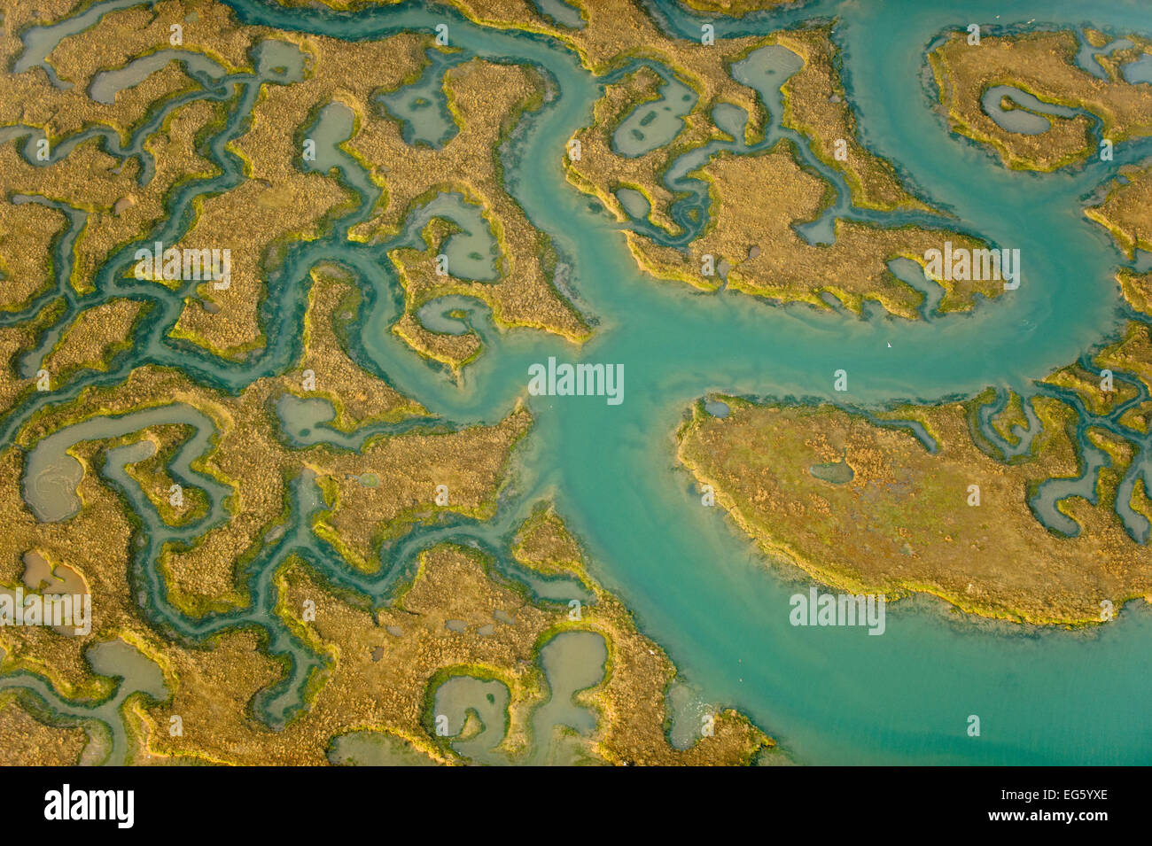 Aerial view of saltmarsh landscape, Abbotts Hall Farm Nature Reserve, Essex, England, UK, March 2012. 2020VISION Exhibition. Did you know? Salt marshes are great for removing and storing carbon dioxide from the atmosphere. Stock Photo