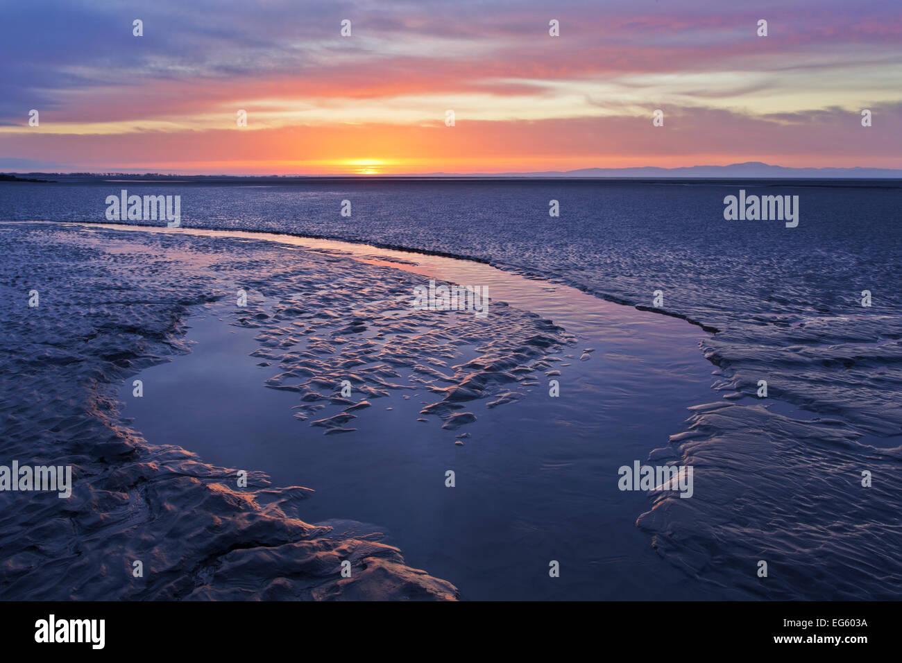 Mudflats at dawn, Sandyhills Bay, Solway Firth, Dumfries and Galloway, Scotland, UK, March. 2020VISION Book Plate. Stock Photo