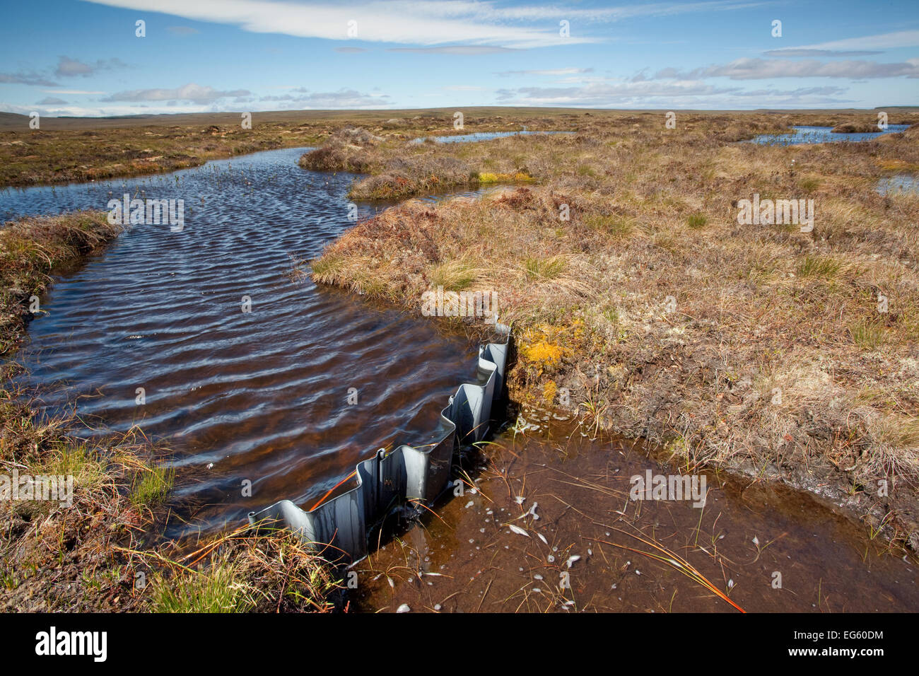 Dam in place to rewet blanket bog at RSPB Forsinard Flows, Flow
