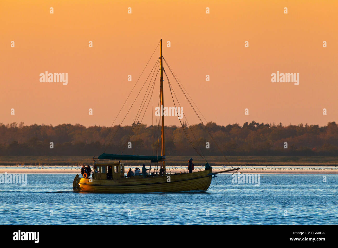 Zeesenboot / Zeesen boat at sunset, traditional fishing boat used in bodden areas, Vorpommern National Park, Pomerania, Germany Stock Photo