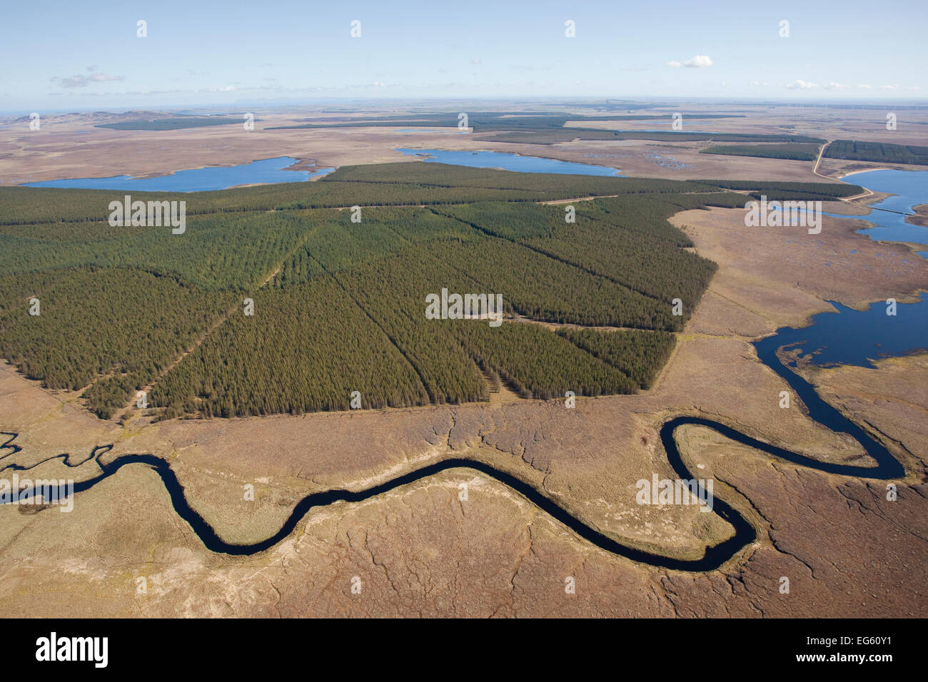 Aerial view across the Flow Country, with timber plantation, Forsinard, Caithness, Scotland, UK, May. Stock Photo
