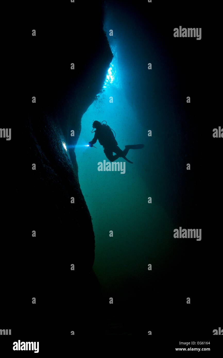 https://www.alamy.com/image-license-details/?v\u003d1