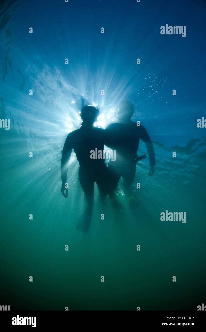 Snorkellers viewed from below, Kimmerage Bay, Dorset, UK, August Stock Photo