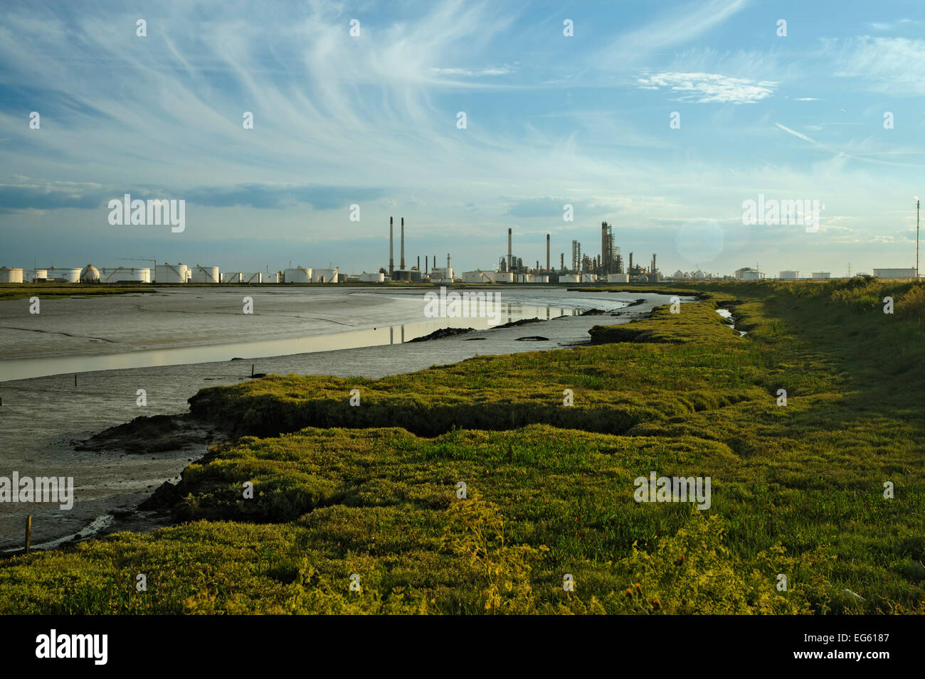 Edge of saltmarsh with oil storage depot in the background, Canvey Island, Essex, England, UK, February Stock Photo