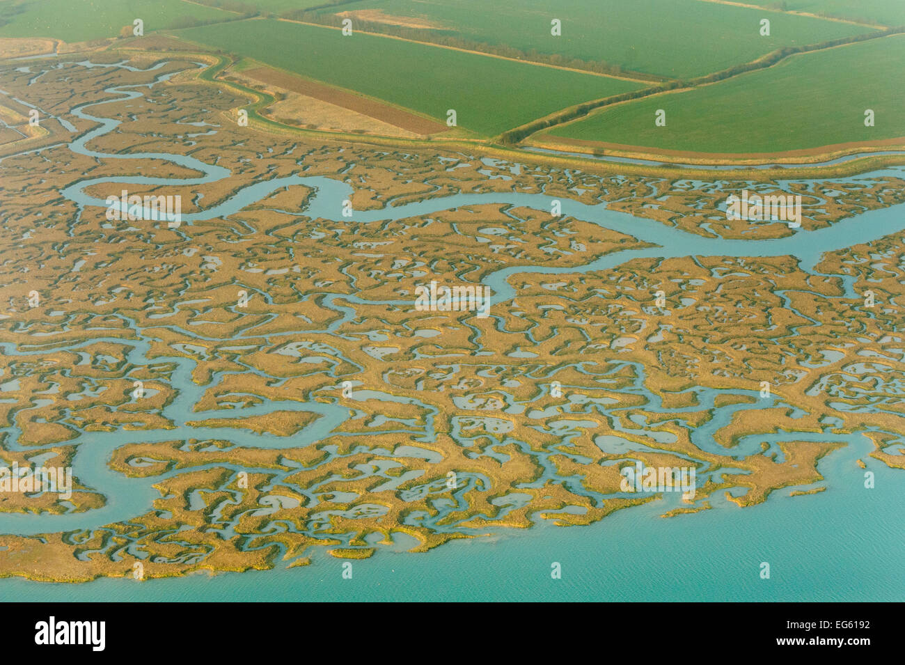 Saltmarsh and reclaimed agricultural land from the air. Abbotts Hall Farm, Essex, UK, March 2012. Stock Photo