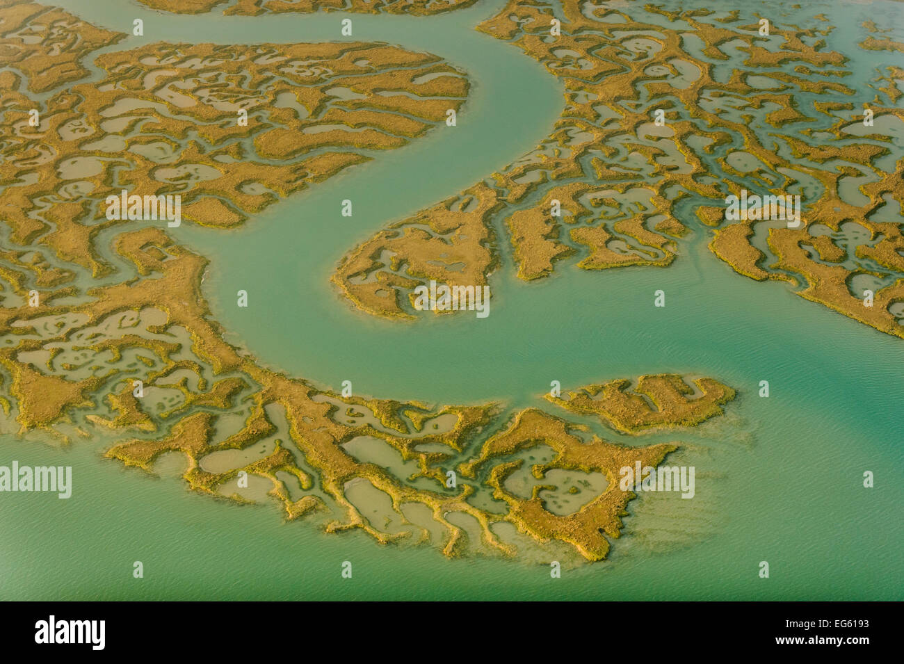 Water channels making patterns in saltmarsh, seen from the air. Abbotts Hall Farm, Essex, UK, April 2012. Did you know? Salt marshes are a great natural defence against sea level rise. Stock Photo