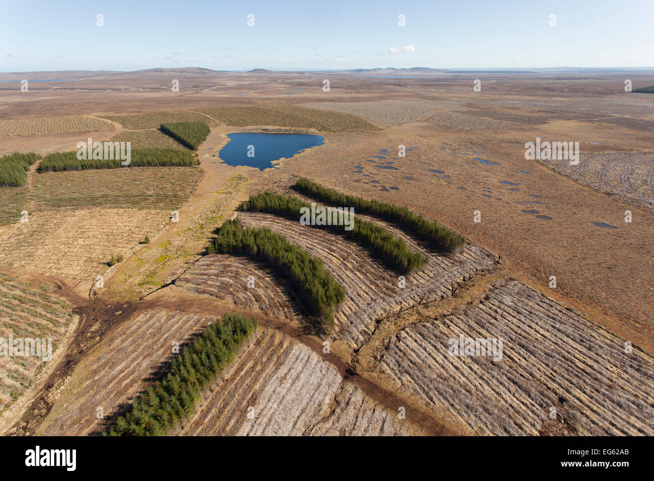 Aerial view of Forsinard Flows blanket bog, with conifer plantations, Forsinard, Caithness, Scotland, UK, May 2012. Stock Photo