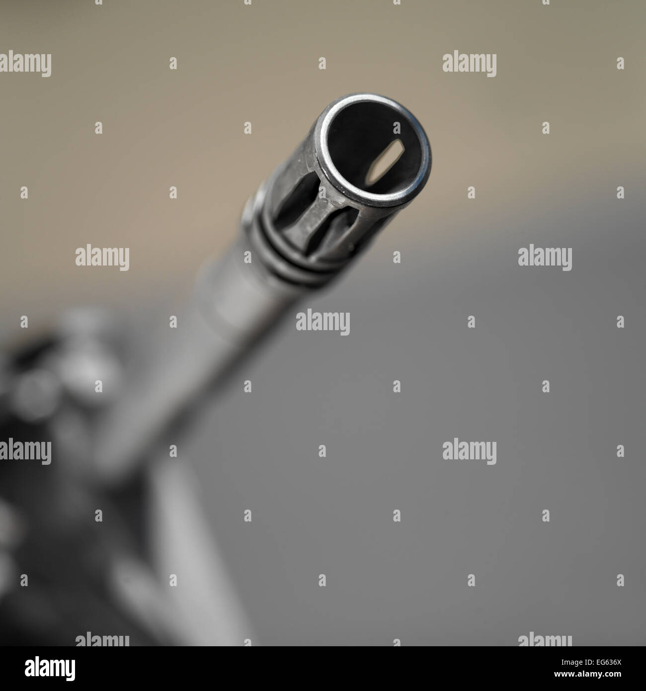 My Image 15