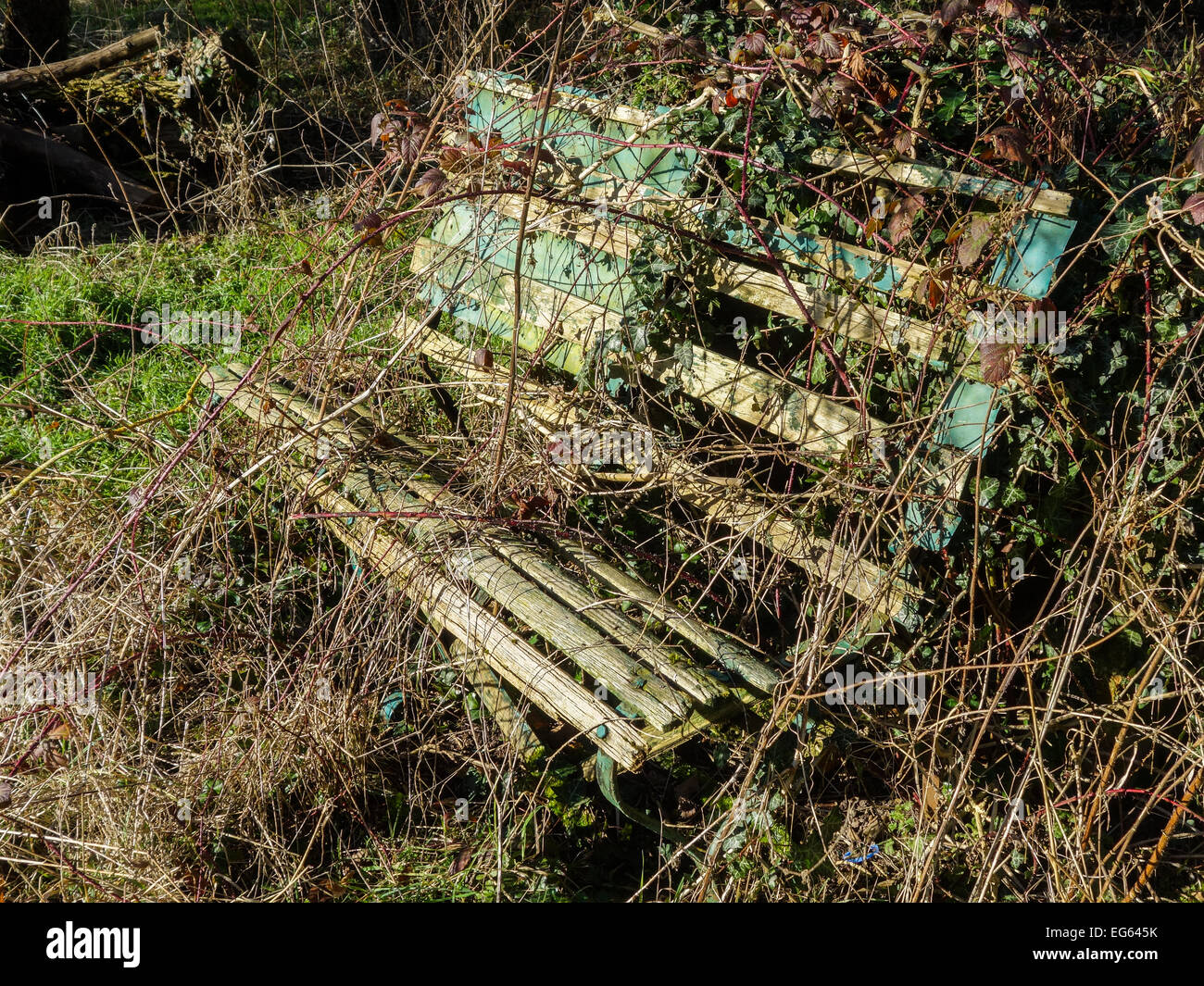 The Forgotten Garden Bench Stock Photo - Alamy