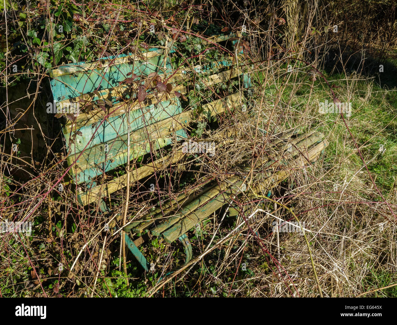 The Forgotten Garden Bench Stock Photo - Alamy