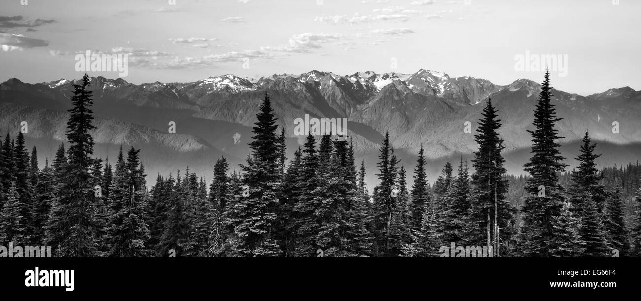 Part of Olympic National Park the sun begins to hit Hurricane Ridge Stock Photo