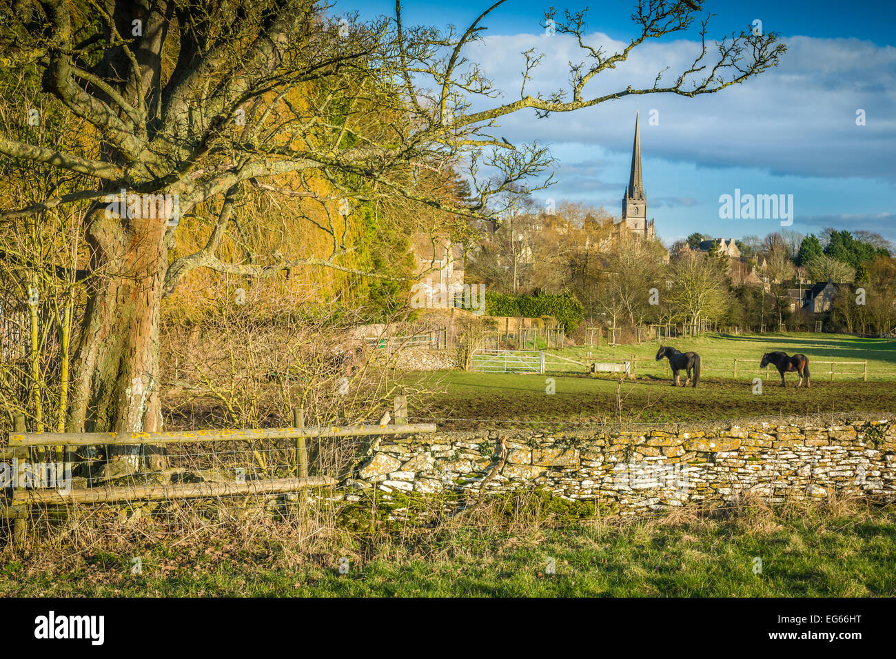 Tetbury, Gloucestershire, UK. 17th February, 2015. Two Cob horses enjoy