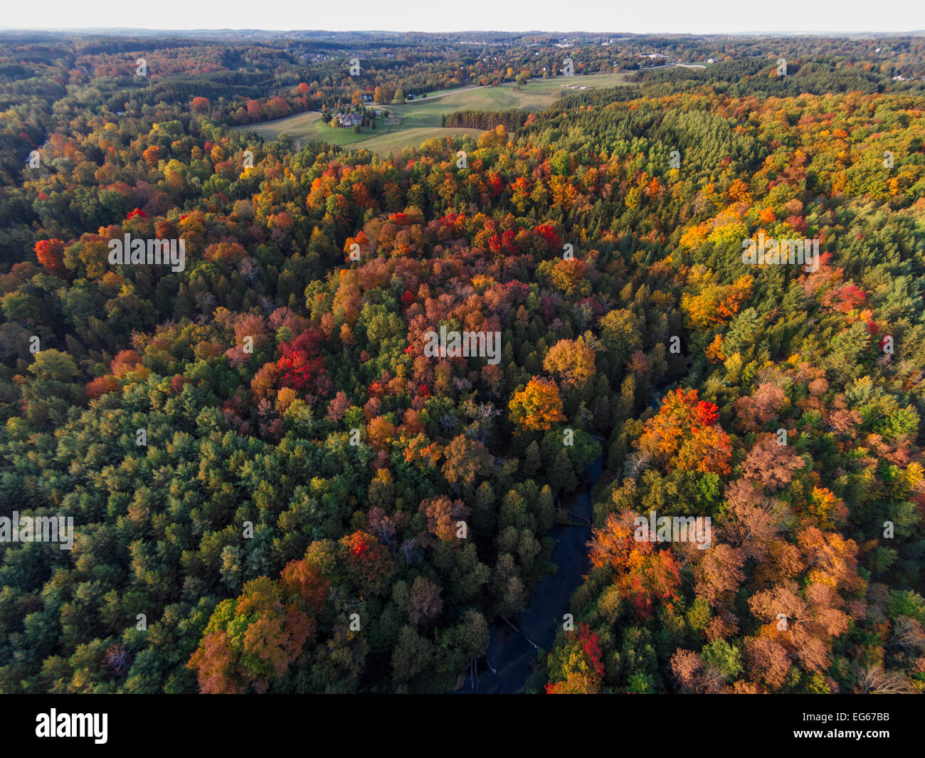 An aerial view of fall colours above the Albion Hills Conservation Area on a hot autumn afternoon Stock Photo