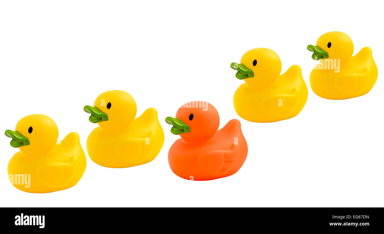 row of rubber ducks showing odd one out Stock Photo