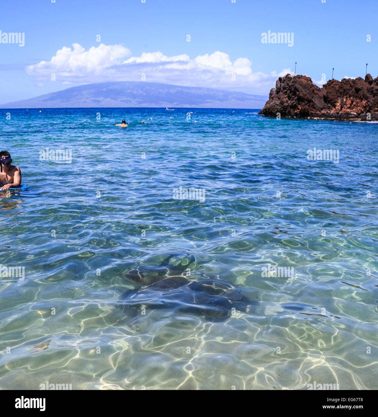 Maui snorkeling hi-res stock photography and images - Alamy
