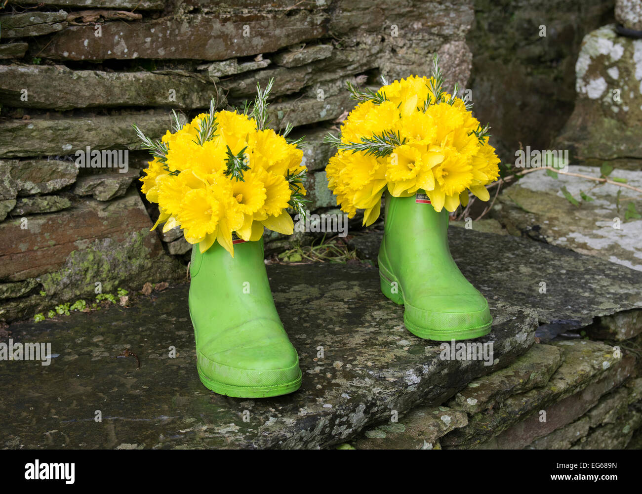 Green Wellington Plantpots Stock Photo - Alamy