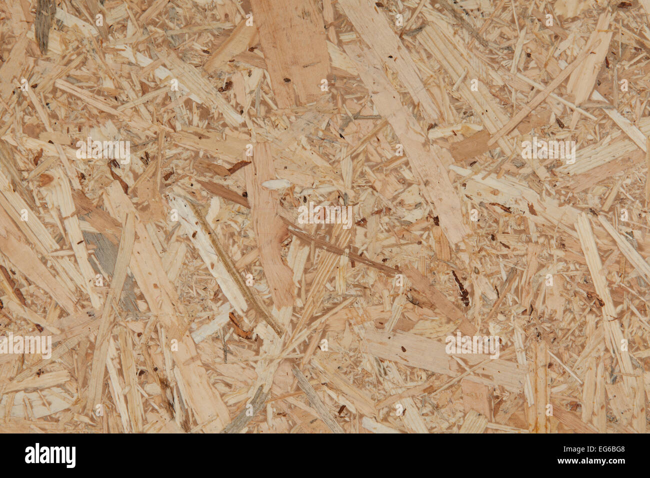 texsture of plywood close up Stock Photo