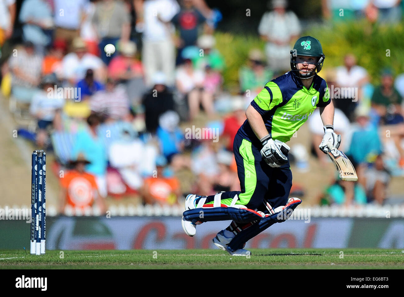 Nelson, New Zealand. 16th Feb, 2015. Ireland player Paul Stirling during the 2015 ICC Cricket World Cup match between West Indies and Ireland. Saxton Oval, Nelson, New Zealand. © Action Plus Sports/Alamy Live News Stock Photo