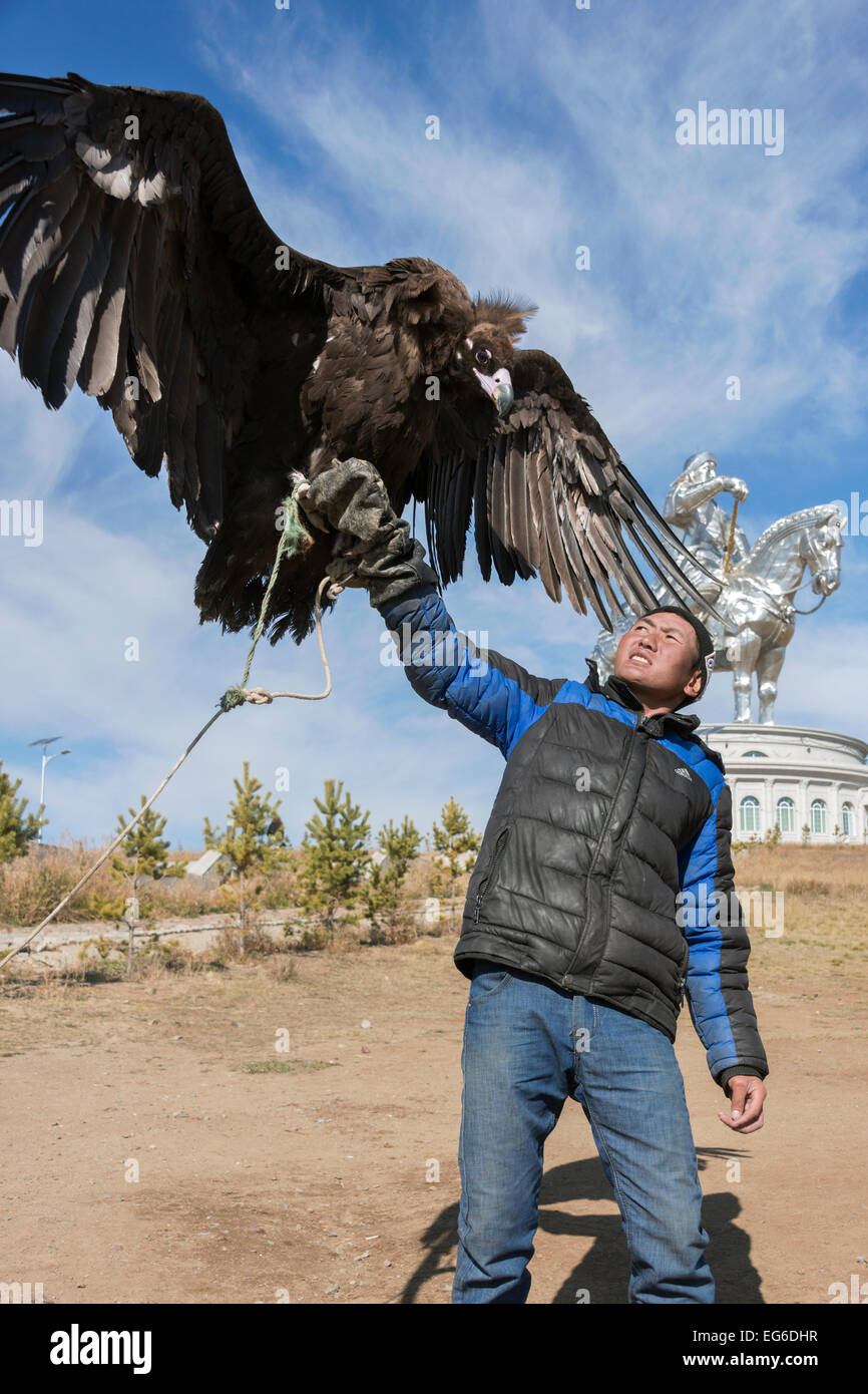 How Big Are Vultures Compared To Humans