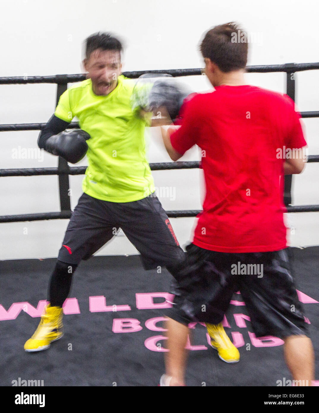 Zozo Boxing Los Angeles, California, USA. 17th Feb, 2015. Two-time Chinese Olympic ...