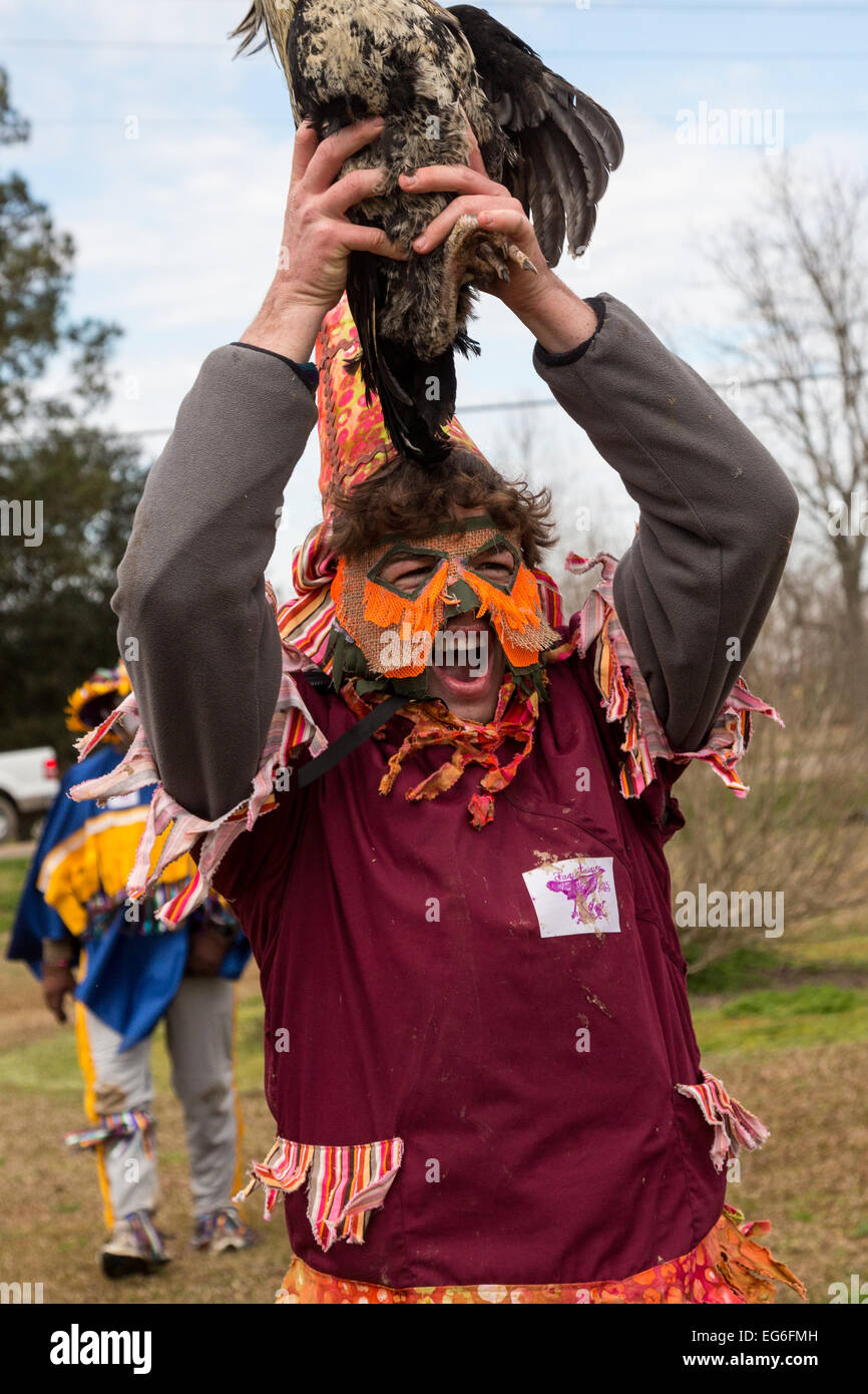 mardi gras chicken run shirt