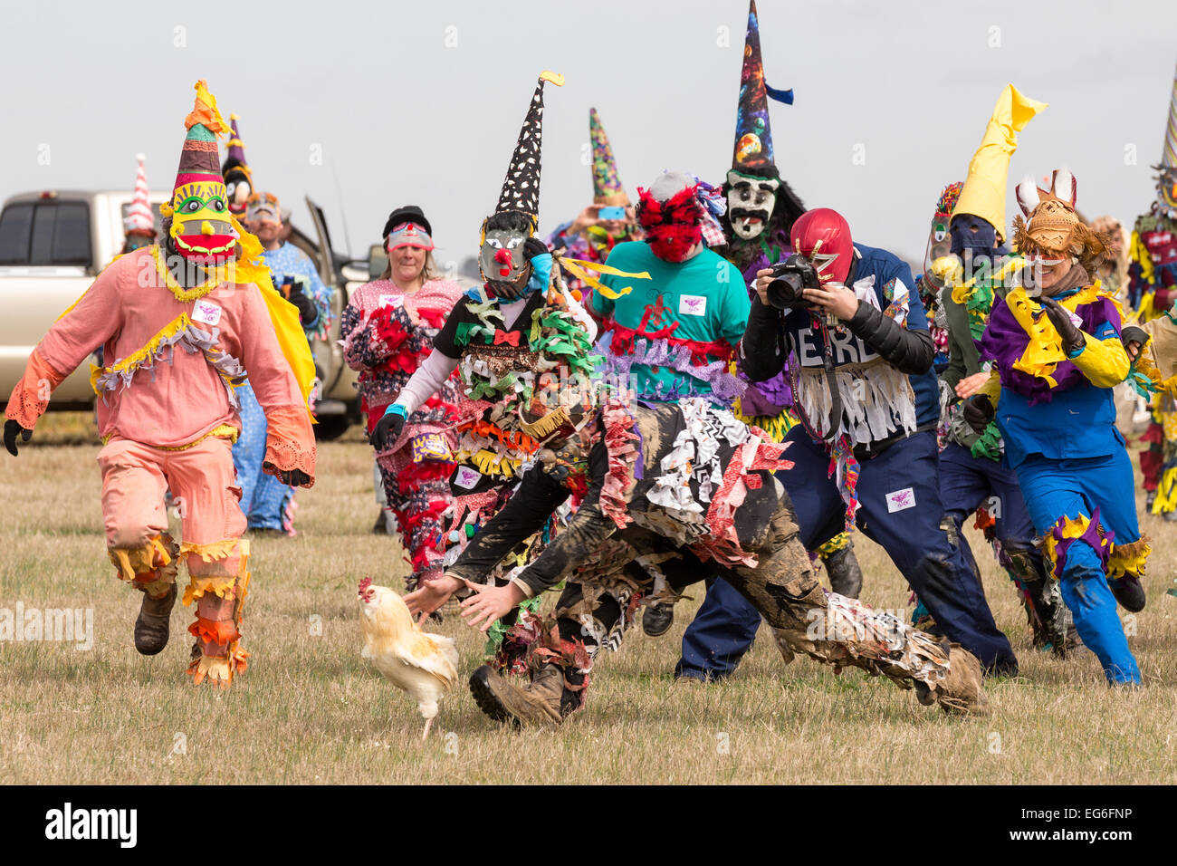 mardi gras chicken race