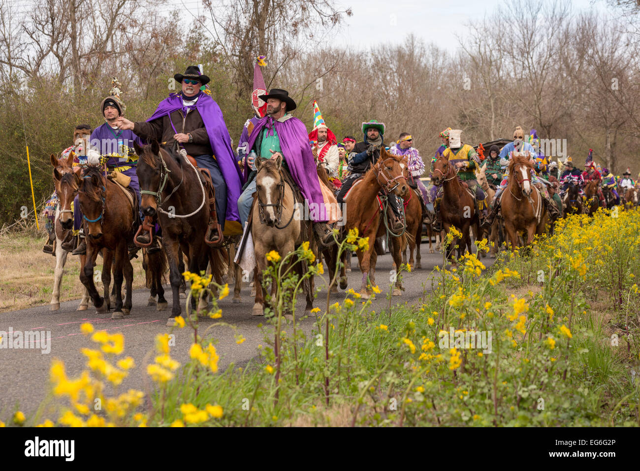 cajun mardi gras mamou