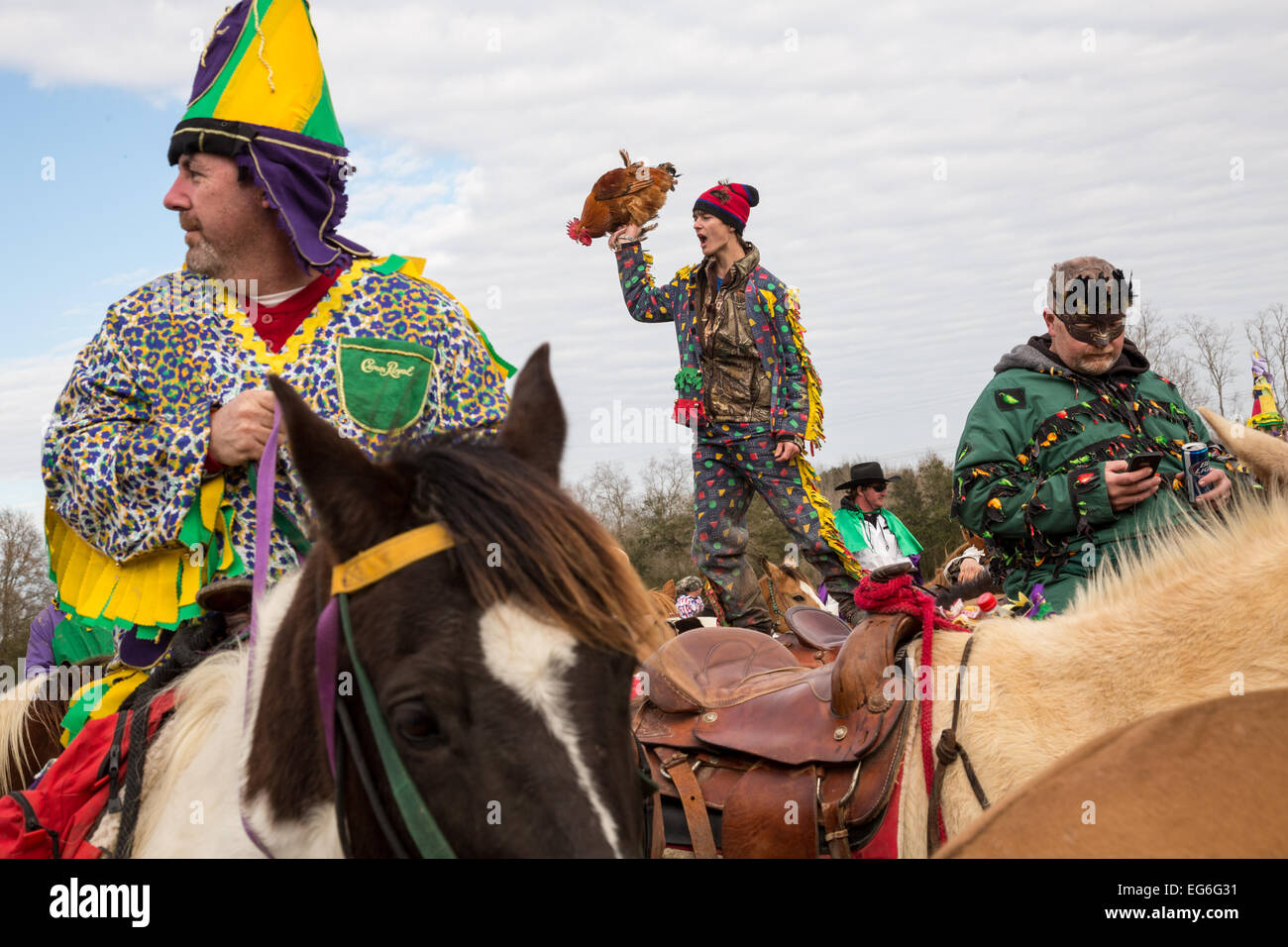 mamou mardi gras chicken run