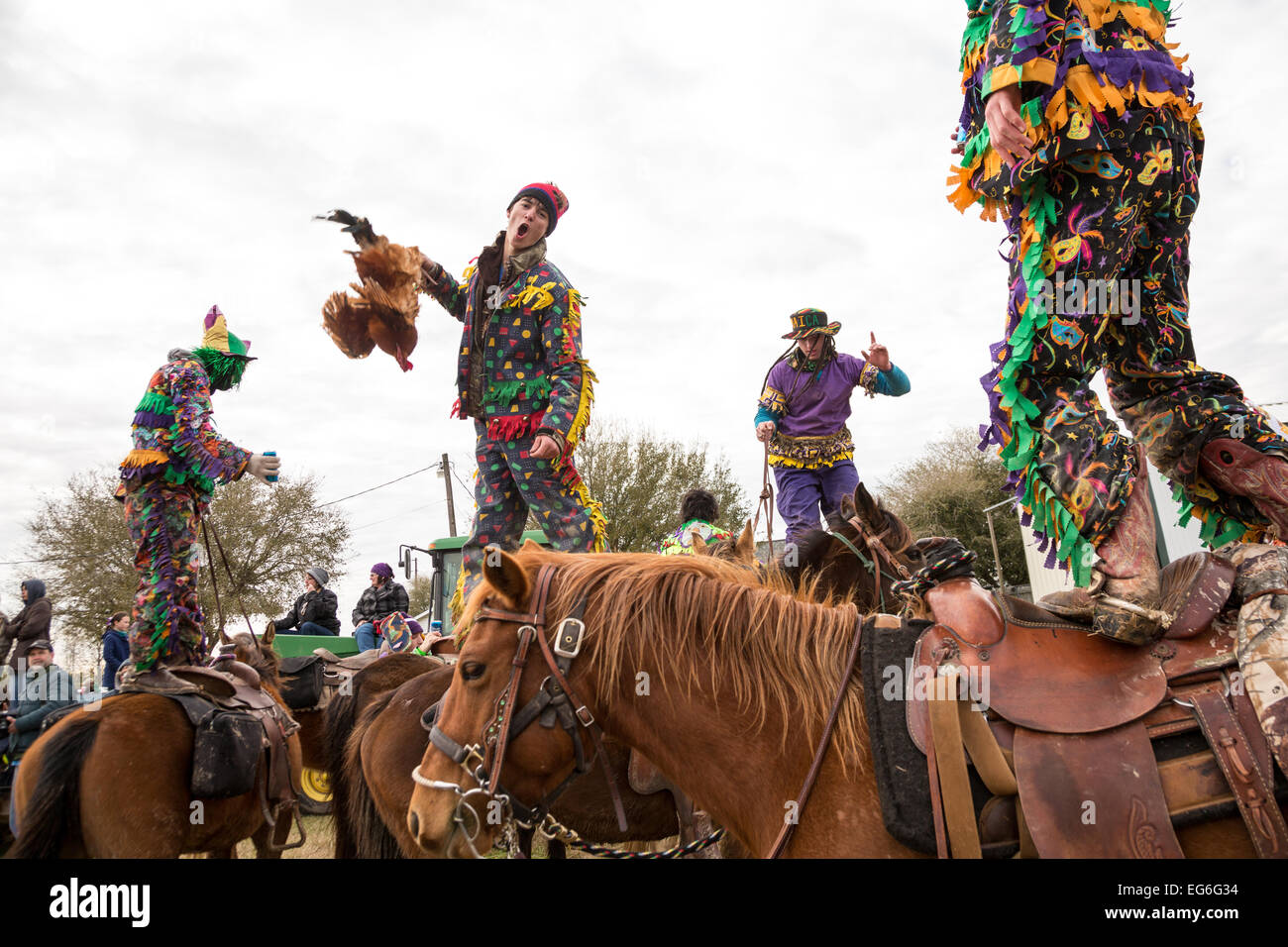 louisiana mardi gras chicken run
