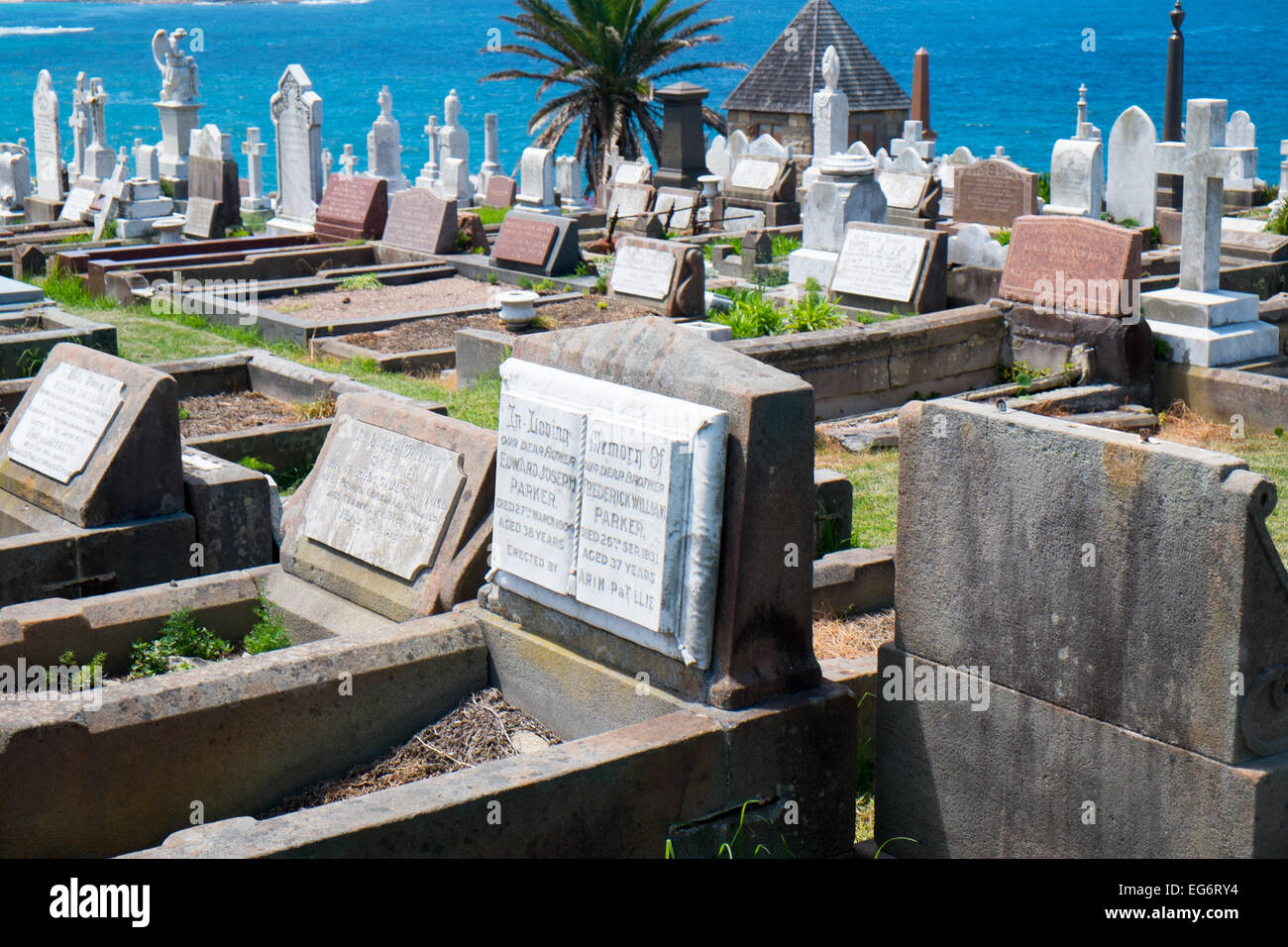 Waverley cemetery, opened in 1877, located on the cliffs at Bronte in