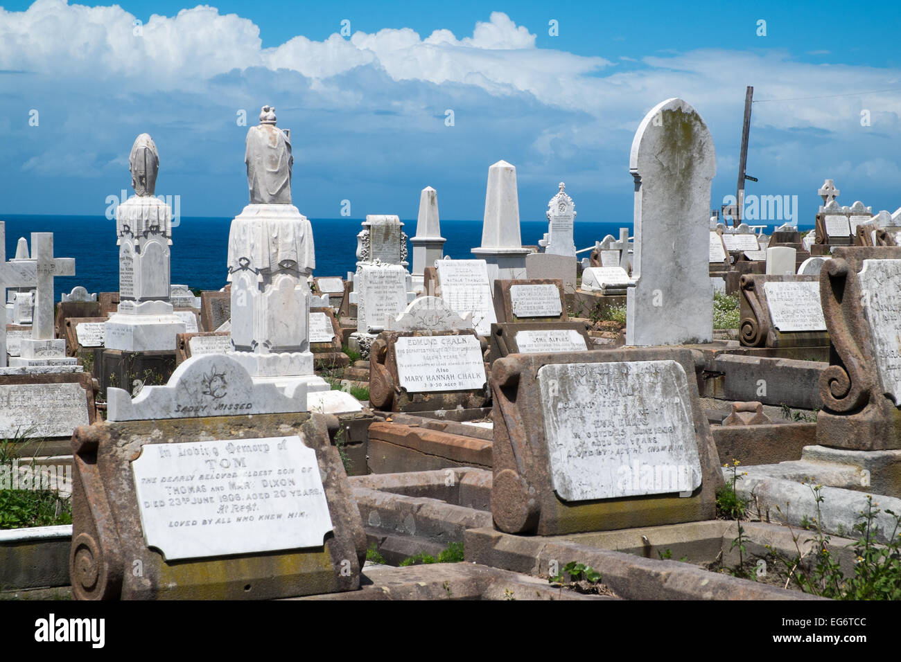 Waverley cemetery, opened in 1877, located on the cliffs at Bronte in