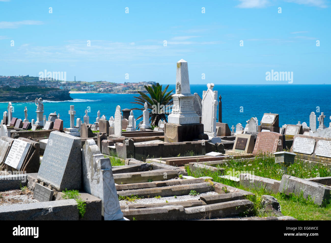 Waverley cemetery, opened in 1877, located on the cliffs at Bronte in