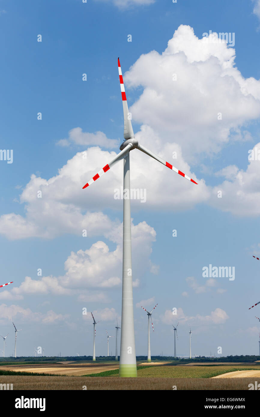 Wind farm Mönchhof-Halbturn, Northern Burgenland, Burgenland, Austria Stock Photo