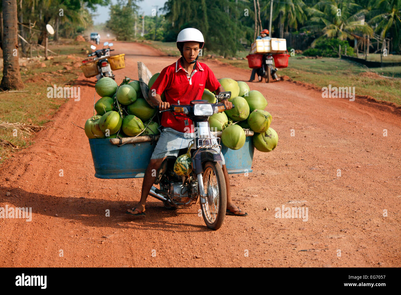 A young man is transporting coconuts on a moped in Phu Quoc. Stock Photo