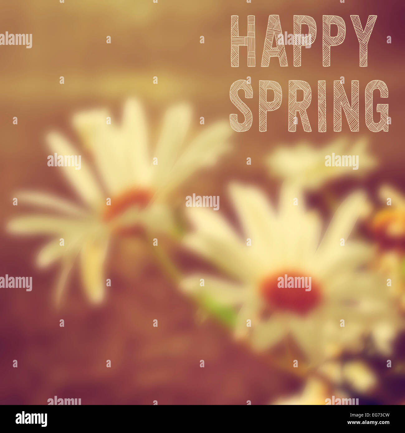 the text happy spring written on a blurred image of white daisies Stock Photo