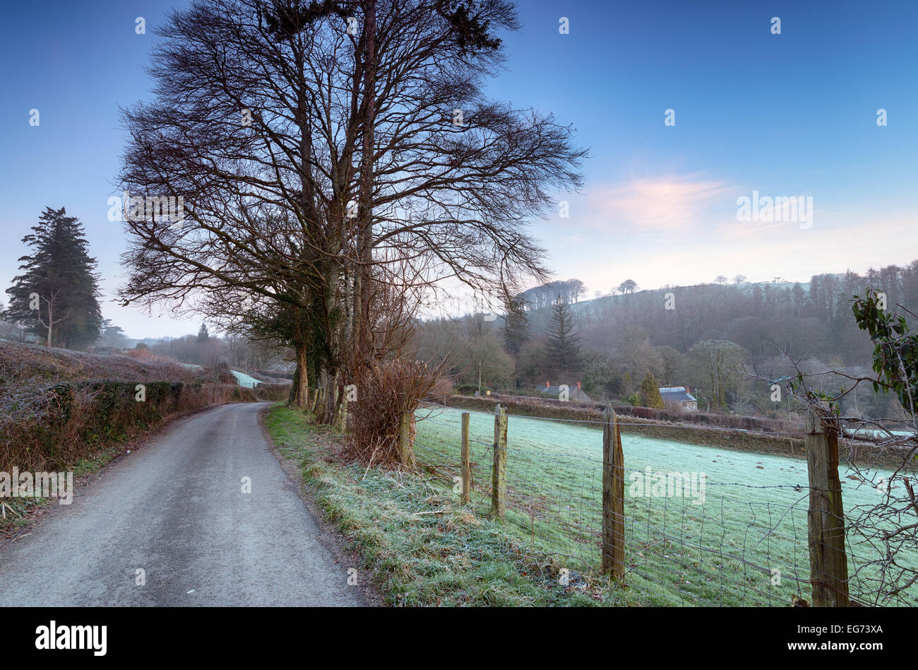 A frosty country lane in the Glynn Valley near Bodmin in Cornwall Stock